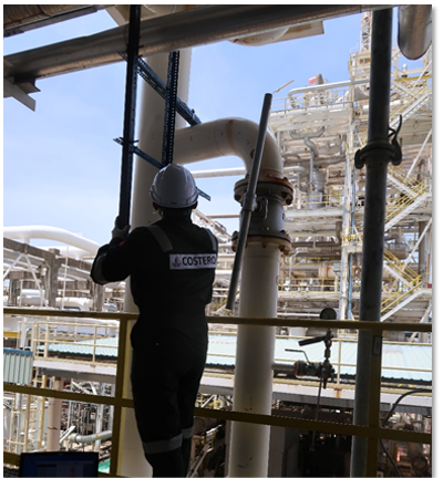 Costero Quote Illustration